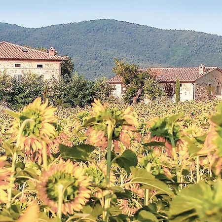 Tulipano Apartamento Pievescola Exterior foto