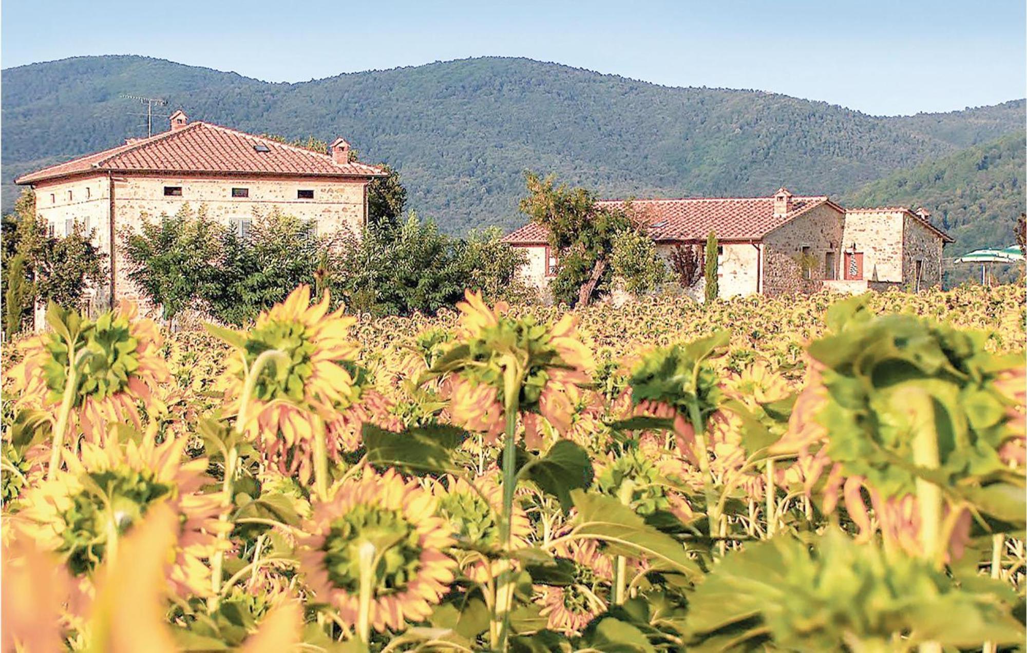 Tulipano Apartamento Pievescola Exterior foto
